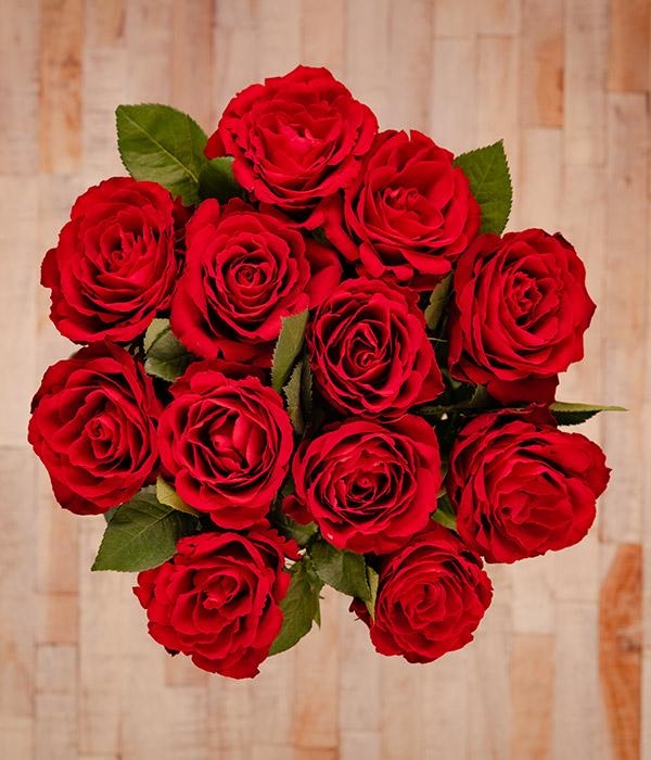 12 Red Roses